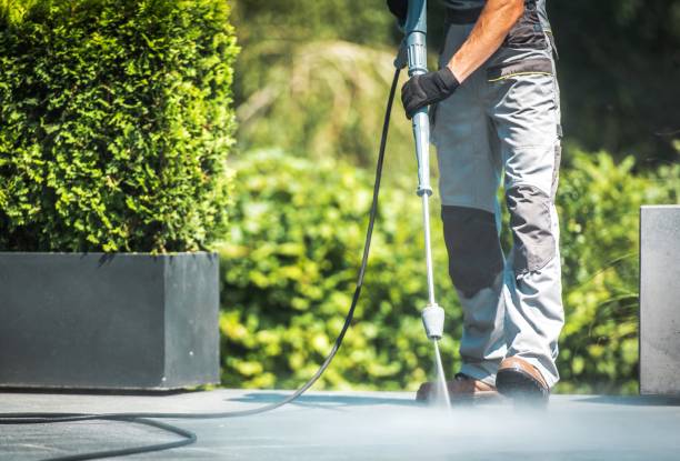Best Brick and Stone Cleaning in Daingerfield, TX