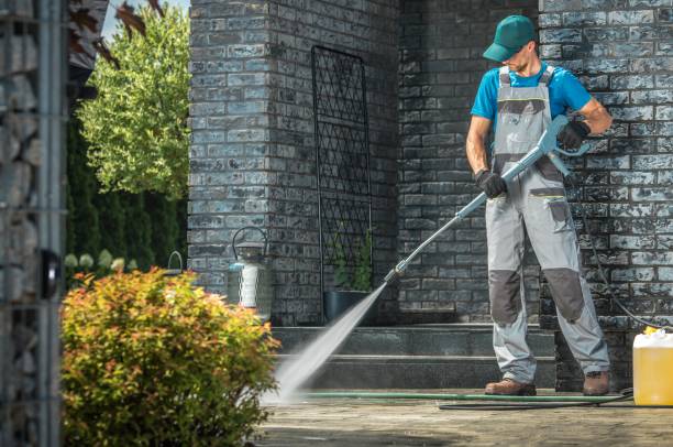 Best Soft Washing for Delicate Surfaces in Daingerfield, TX