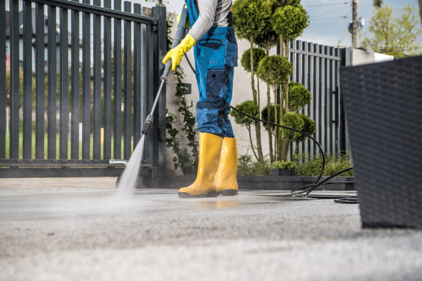 Best Window and Screen Pressure Cleaning in Daingerfield, TX