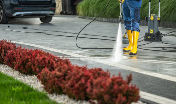 Best Pool Deck Cleaning in Daingerfield, TX